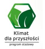 Program stażowy 